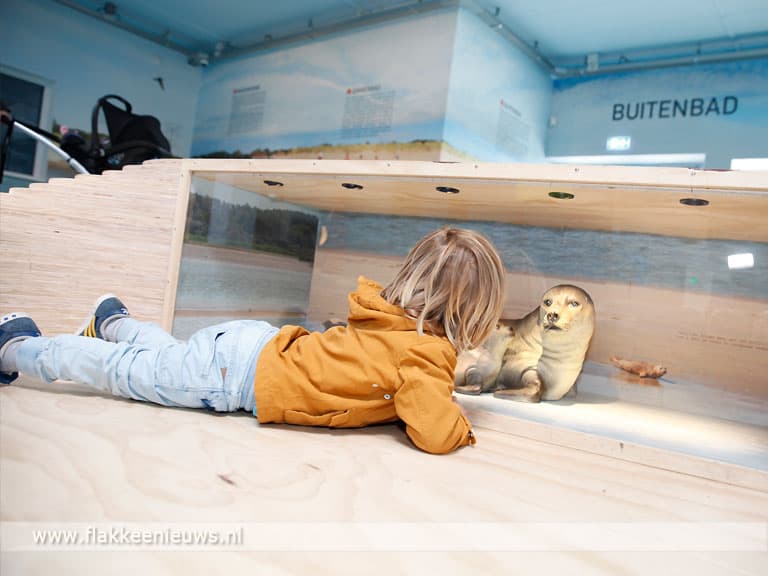 Zomerprogramma A Seal Stellendam Stellendam