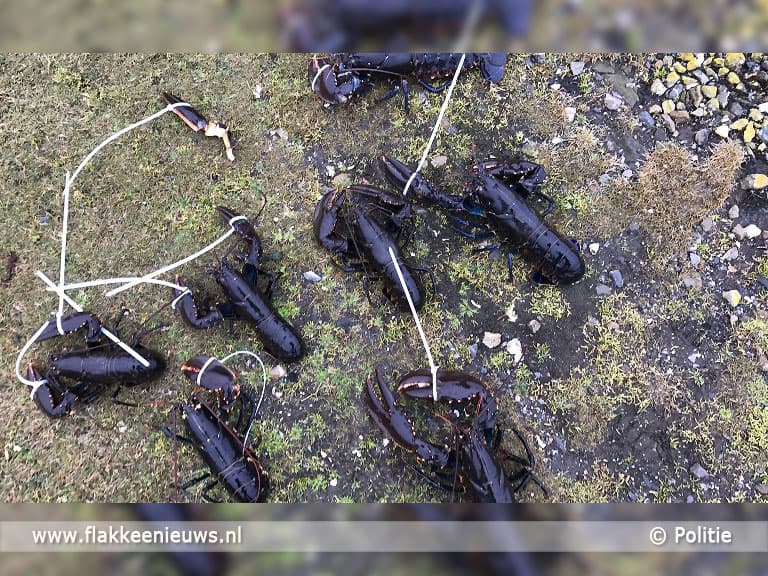 Arrestaties voor stroperij Goeree-Overflakkee