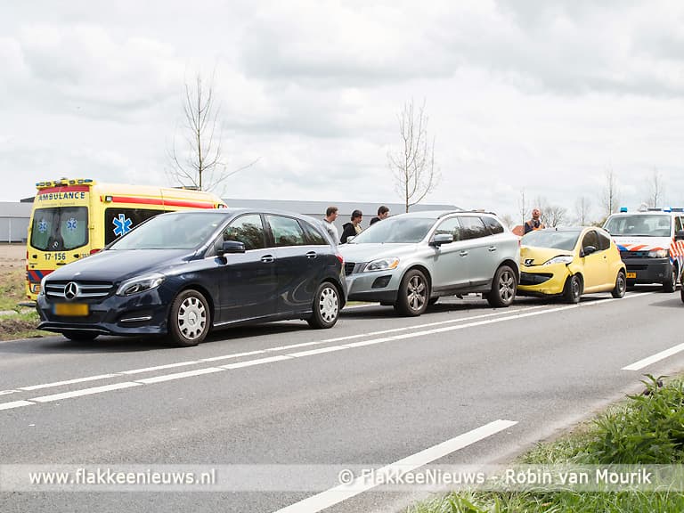 Eend veroorzaakt kettingbotsing