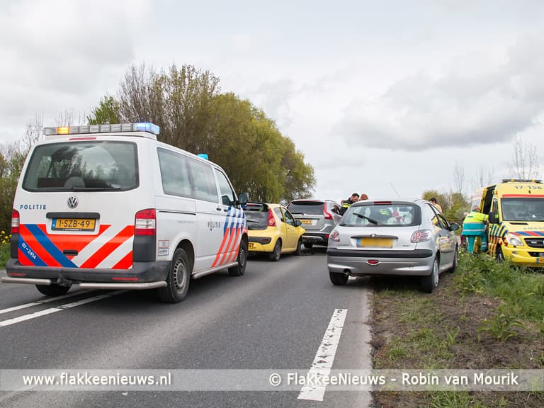 Eend veroorzaakt kettingbotsing