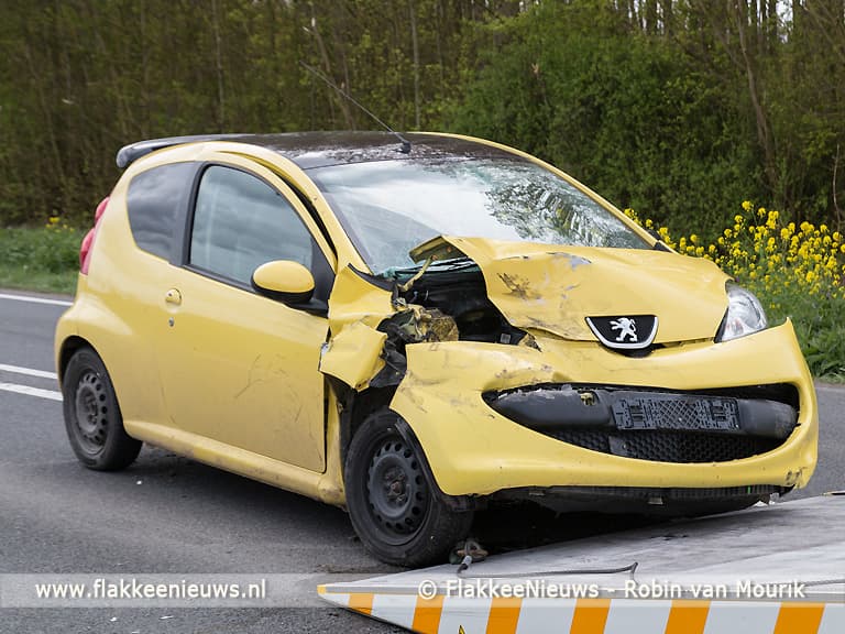 Eend veroorzaakt kettingbotsing