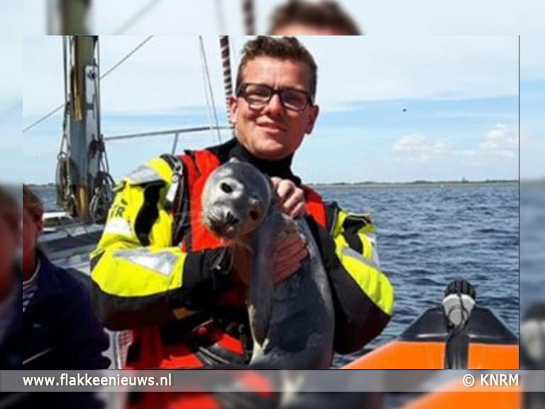 KNRM ontfermt zich over jonge zeehond op de Grevelingen