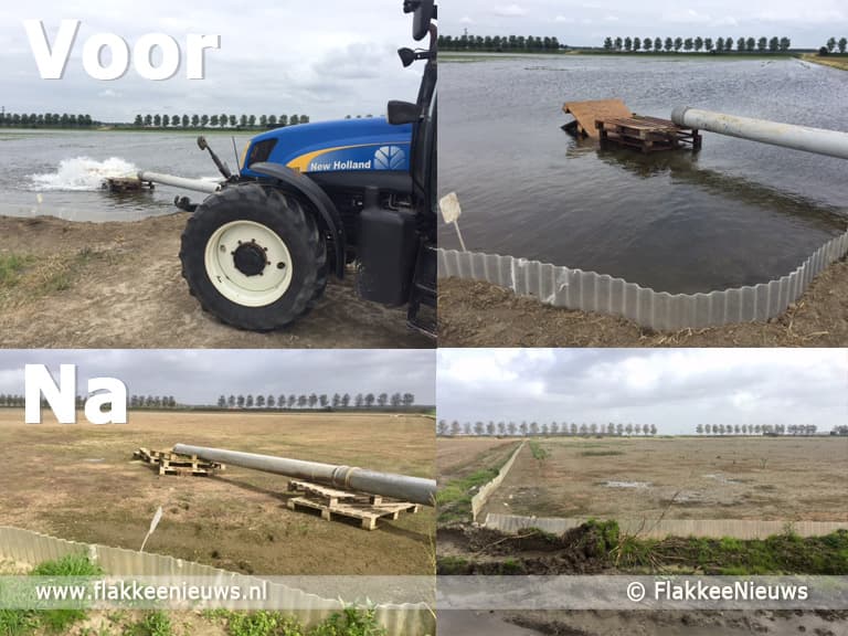 Waterbad helpt tegen miniwormen op uienveld