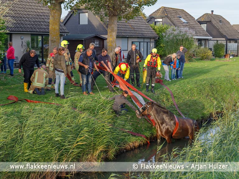 Grote hulpverlening voor ongeval met paard