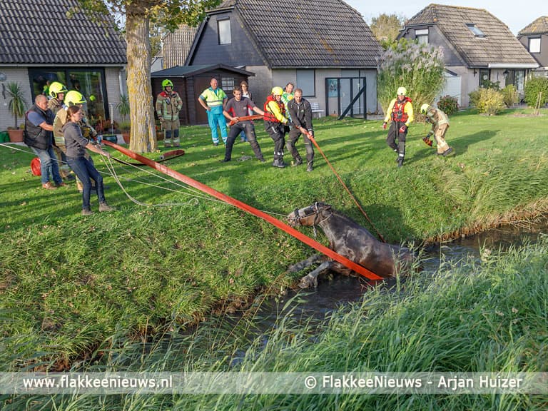 Grote hulpverlening voor ongeval met paard
