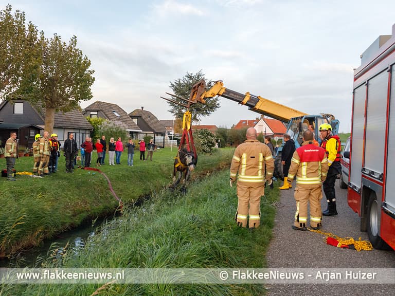 Grote hulpverlening voor ongeval met paard