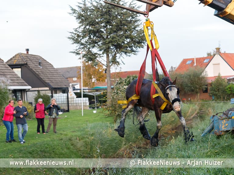 Grote hulpverlening voor ongeval met paard