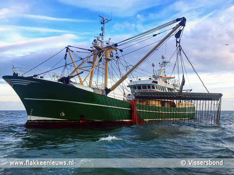 Gitzwarte uitkomst van stemming pulsvisserij in Europees Parlement