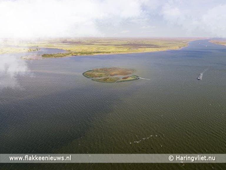 Naam gezocht voor nieuw eiland in het Haringvliet