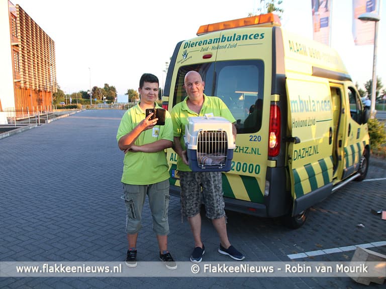 Kitten na twee dagen bevrijd uit auto