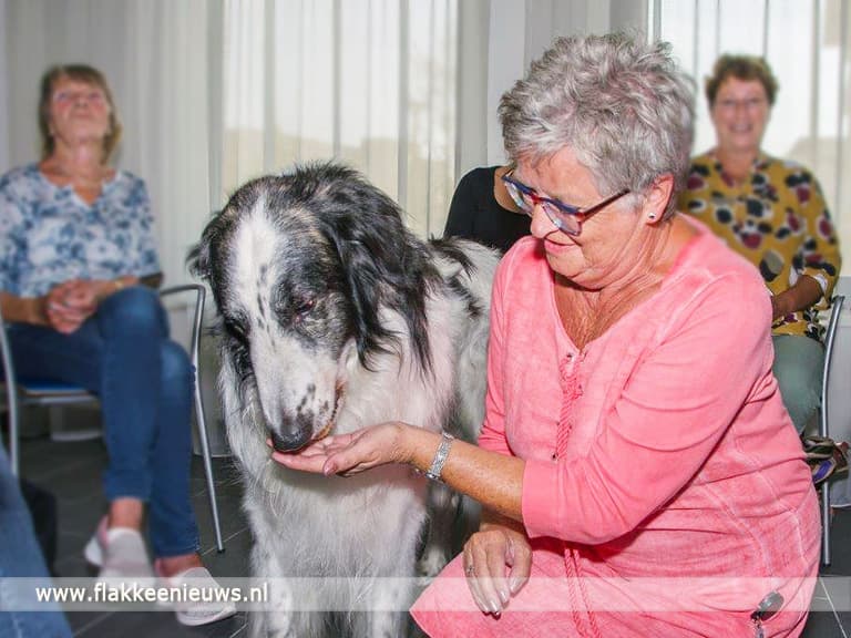 Zorg kan niet zonder dieren