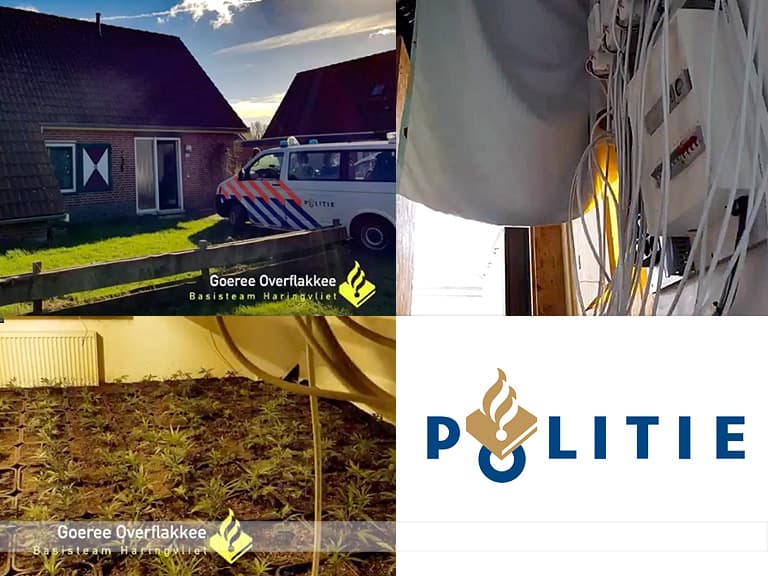 Hennepkwekerij in vakantiehuisje Ooltgensplaat