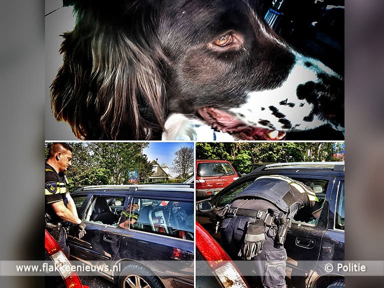 Politie redt hond uit hete afgesloten auto