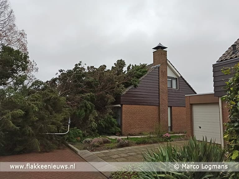 Veel stormschade op Goeree-Overflakkee