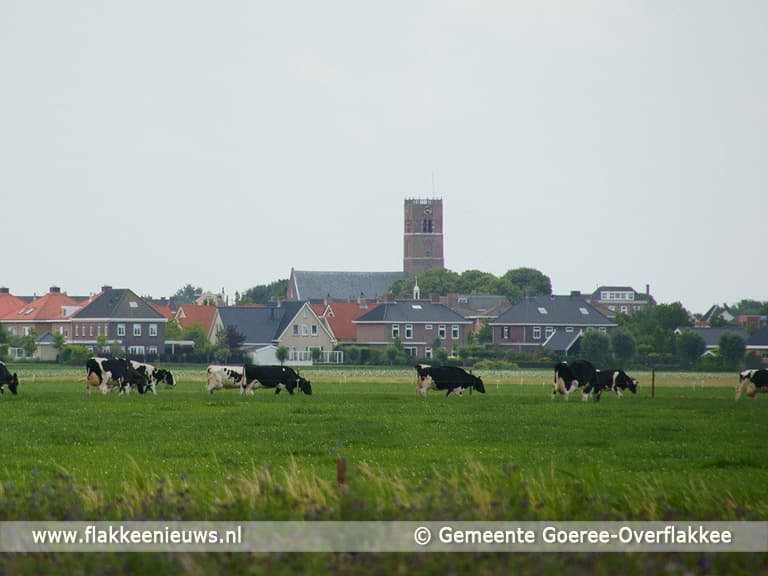 Kerkklokken luiden tijdens de jaarwisseling
