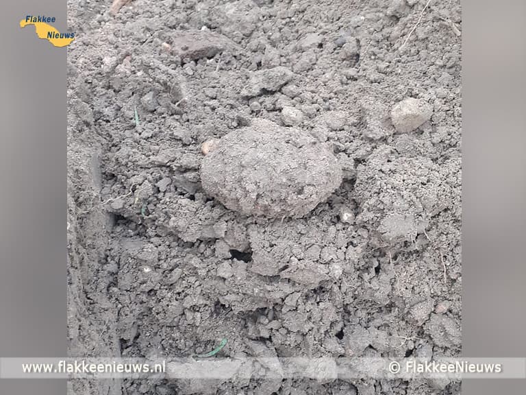 Bijzondere vondst tijdens graafwerkzaamheden bij Den Bommel