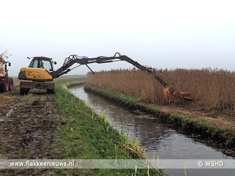 Waterschap houdt rekening met de Grote Karekiet