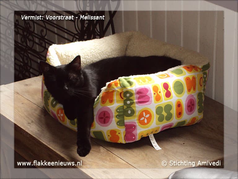 Gevonden en vermiste huisdieren week 47-2011