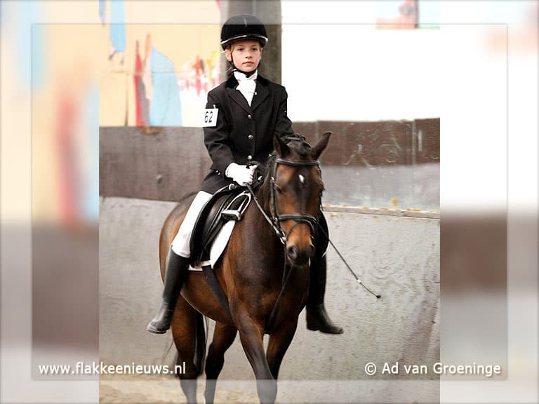 Zitcompetitie Manege Oostmoer levert drie kwartfinalisten