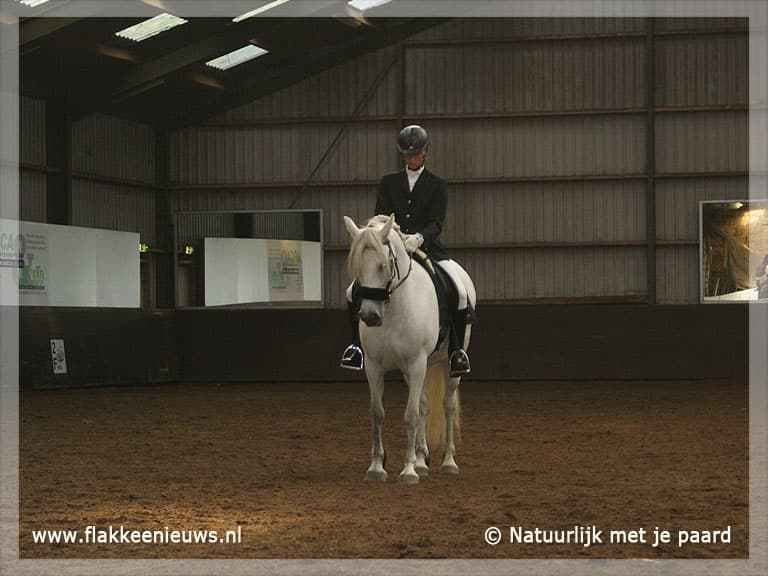 Flakkeese Nederlands kampioen Dressuur Bitloosrijden