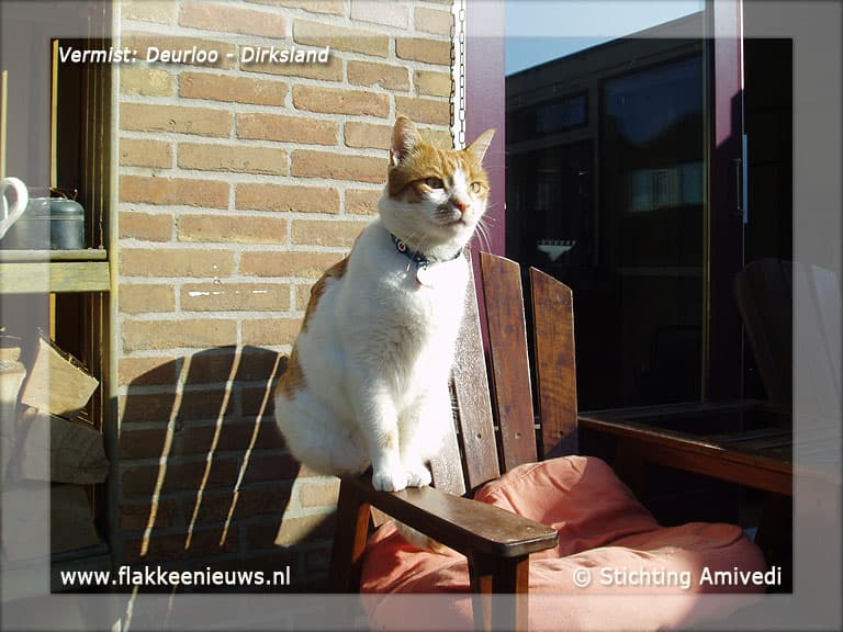 Gevonden en vermiste huisdieren week 13-2012