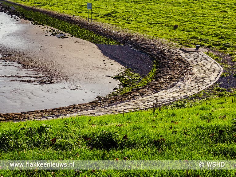 Waterschap gaat testen met niet maaien
