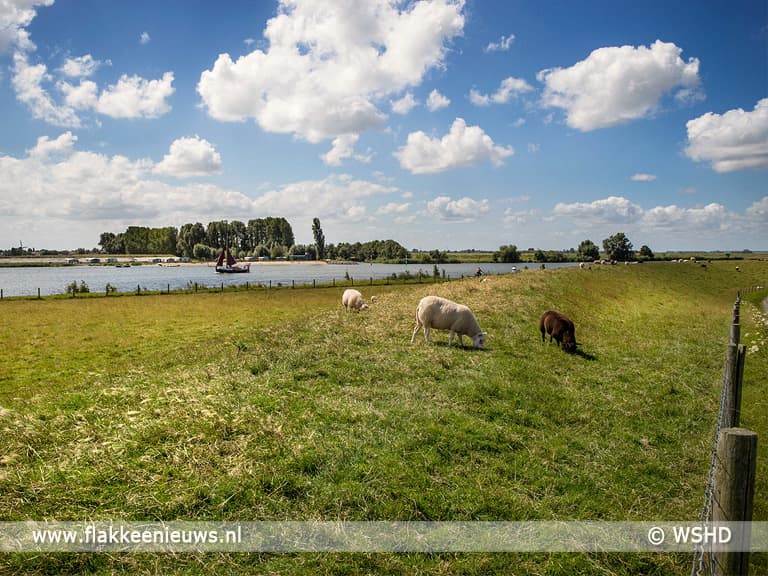Waterschap wil bloemrijke en kruidenrijke dijken