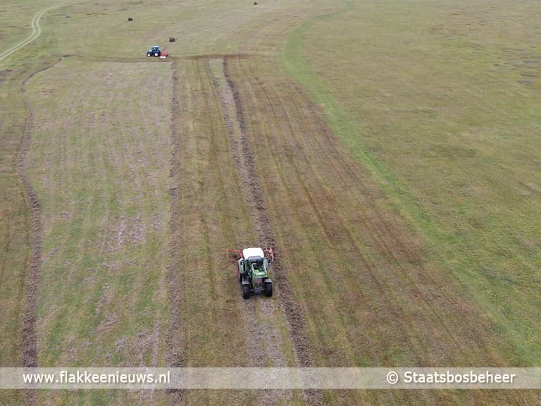 Waarom maait Staatsbosbeheer juist nu de natuur zo in bloei staat?