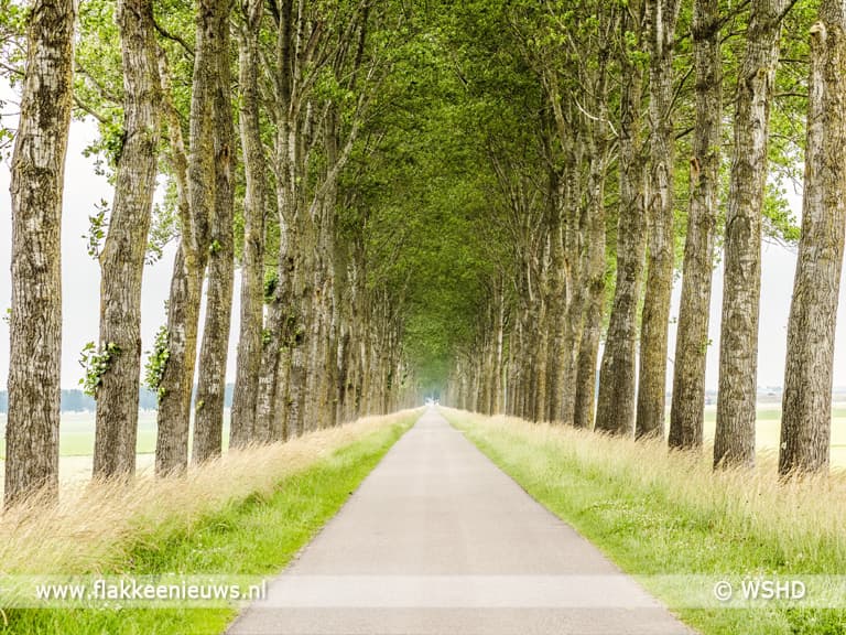 Waterschap investeert tonnen in herplant bomen