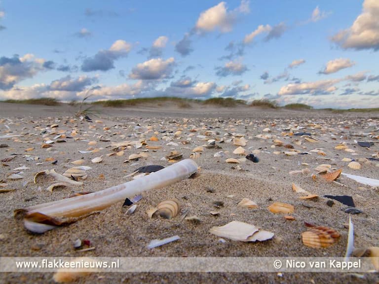 Eerste groene strand van Nederland op Goeree-Overflakkee