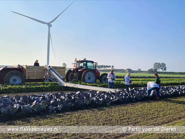 Biodiversiteit bij biologisch landbouwer Cornelis Mosselman