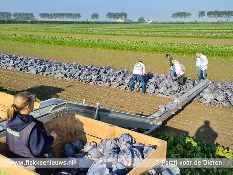Biodiversiteit bij biologisch landbouwer Cornelis Mosselman