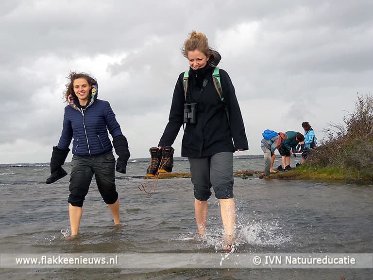 Grevelingenweek 2021: Activiteiten in de natuur voor jong en oud