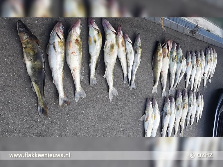 Geldboete, 3 jaar proeftijd en vaartuig kwijt voor snoekbaarsstroperij