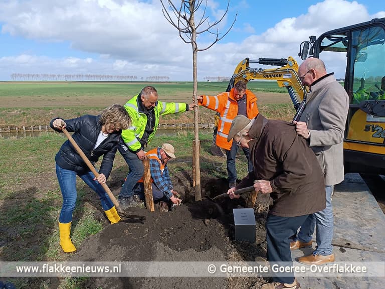 Zes nieuwe gedenkbomen voor 100-jarigen op Goeree-Overflakkee