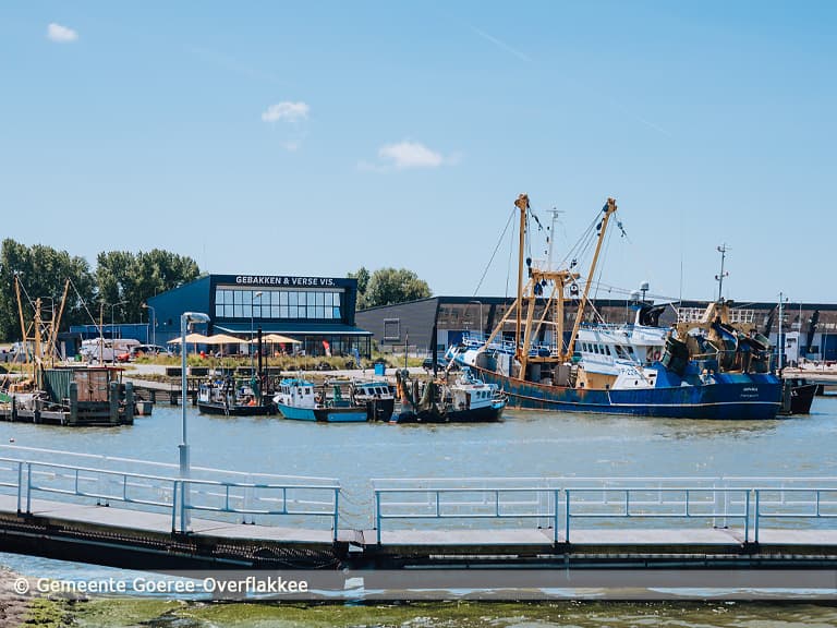 Gemeente Goeree-Overflakkee vraagt uitstel visserijverbod in deel Voordelta