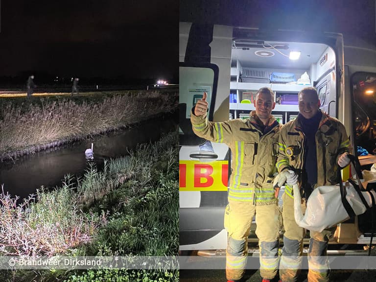 Brandweer en dierenambulance redden gewonde zwaan in Dirksland