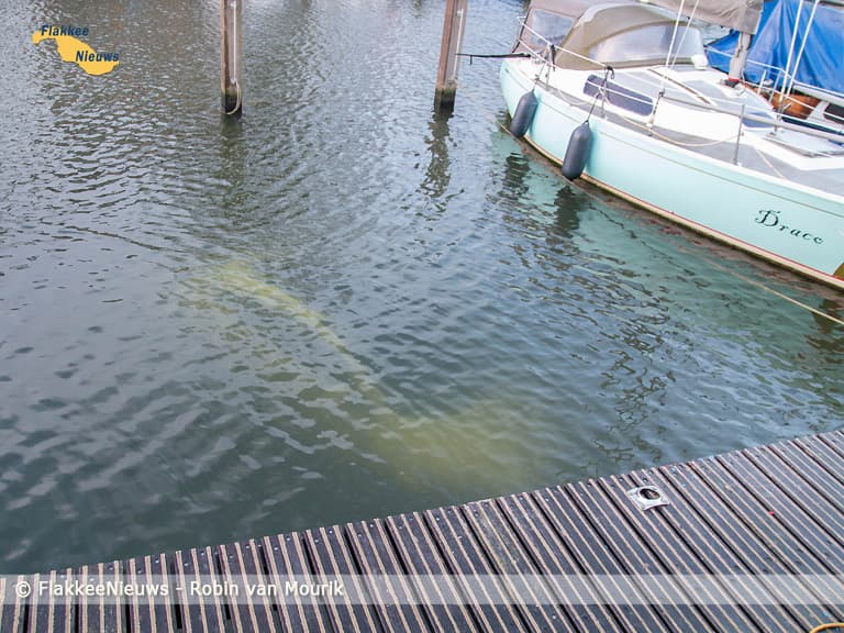 Auto neemt duik in de haven van Middelharnis