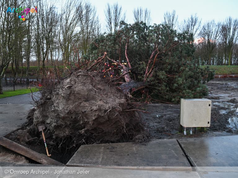 Boom valt om en trekt gasleiding mee