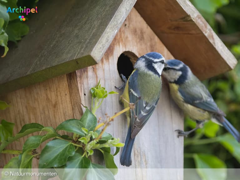 Welkom in kraamkamer Moeder Natuur