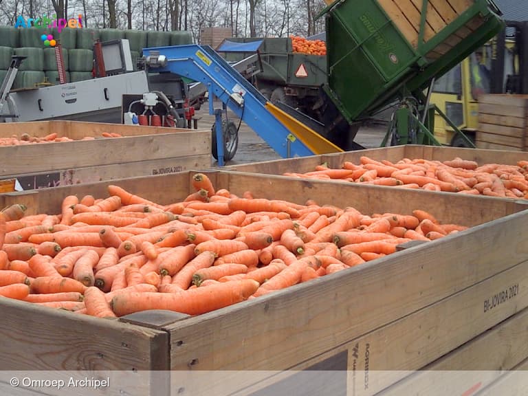Crowdfunding voor afgekeurde wortels voor de Voedselbank