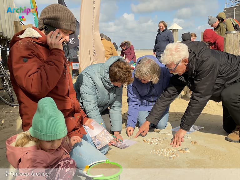 Schelpentelling bij Ouddorp: een samenwerking voor de wetenschap