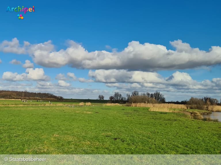 Staatsbosbeheer organiseert voorjaarswandeling door het Groote Gat