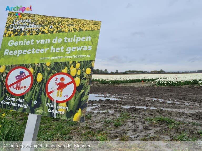 Waarschuwingsbordjes bij tulpenvelden