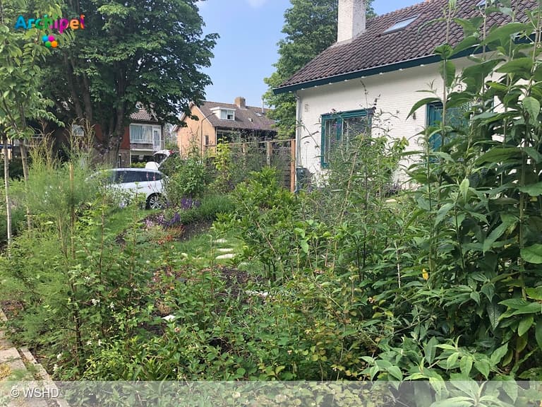 Waterschap geeft subsidie voor groene tuinen en wijken