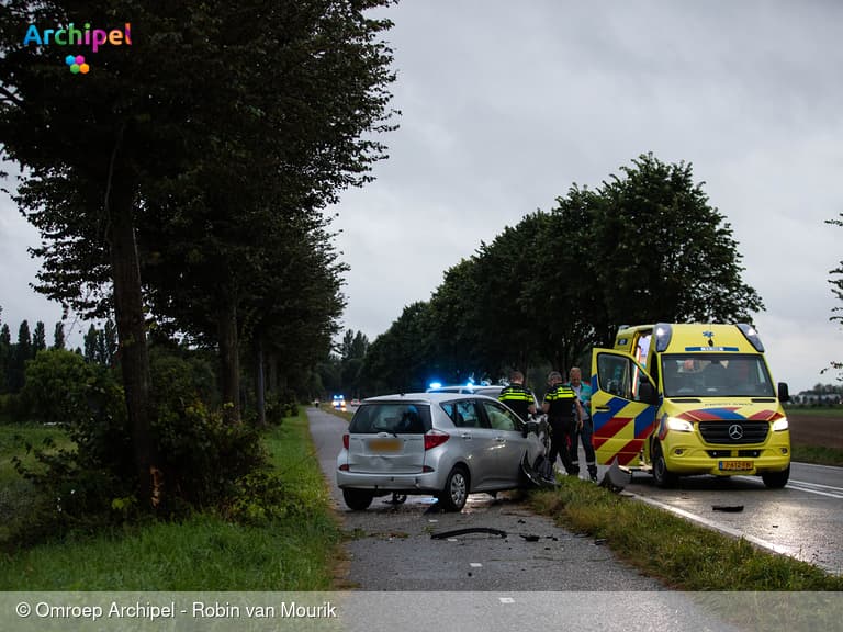 Bestuurder botst tegen boom op Oudelandsedijk