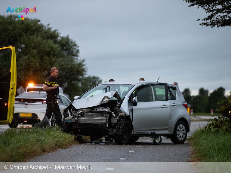 Bestuurder botst tegen boom op Oudelandsedijk