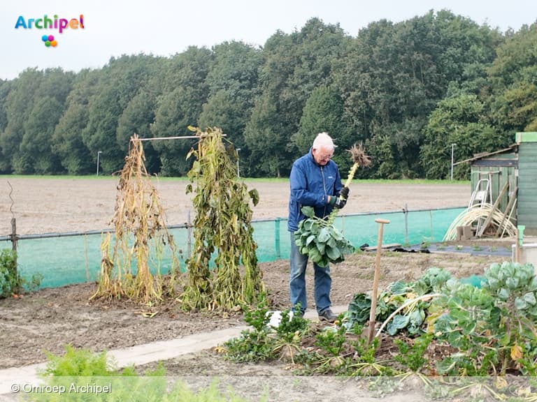 Nieuwe wijk dreigt hobbytuinders uit paradijsje te verdrijven