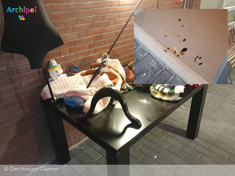 Bewoners aangedaan na nacht vol vernielingen