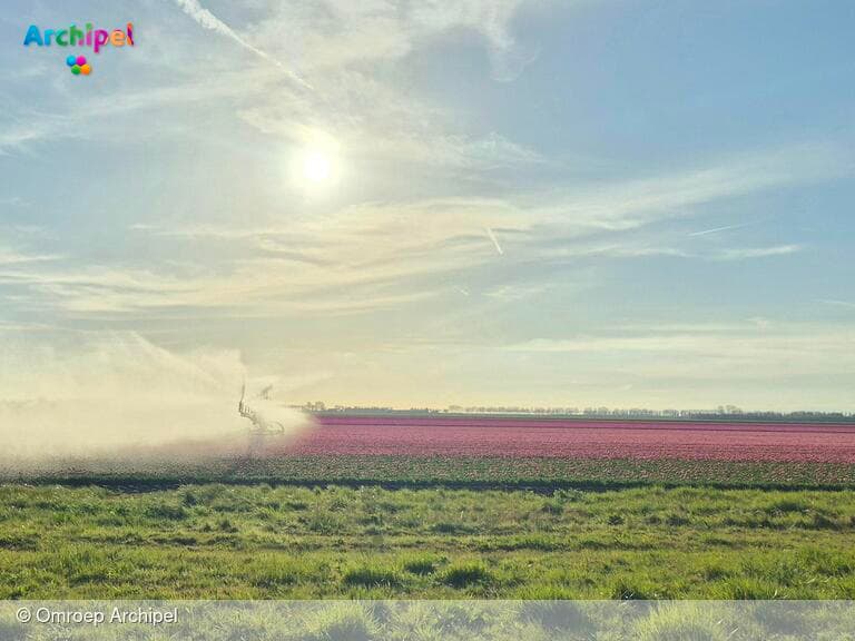 Alleen vandaag nog inschrijven voor de Tulpentocht